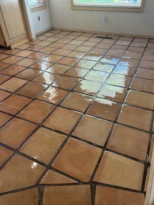 Champion Carpet Care