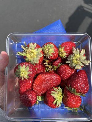 Fresh strawberries ($8)