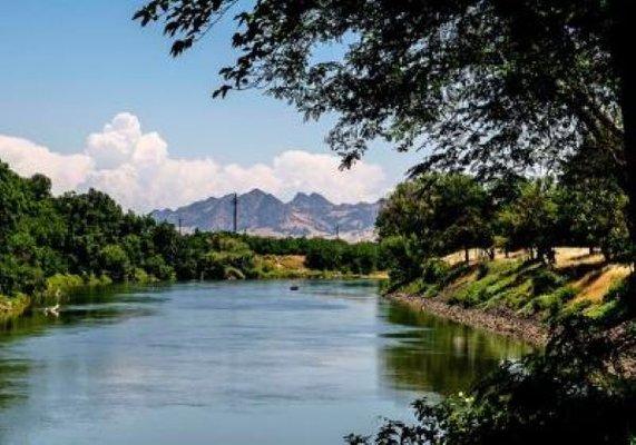 Effie's Tire and Lube