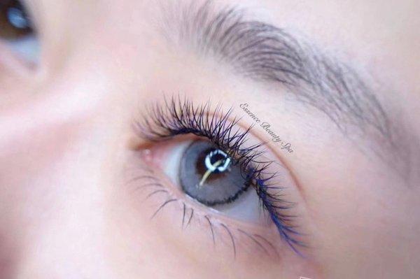 Lash By Michelle