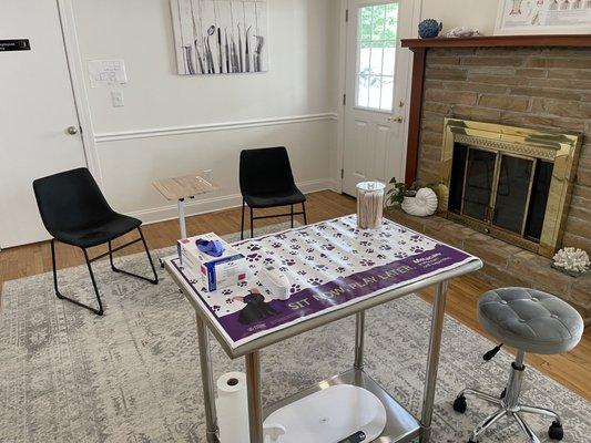 Veterinary Dental Care