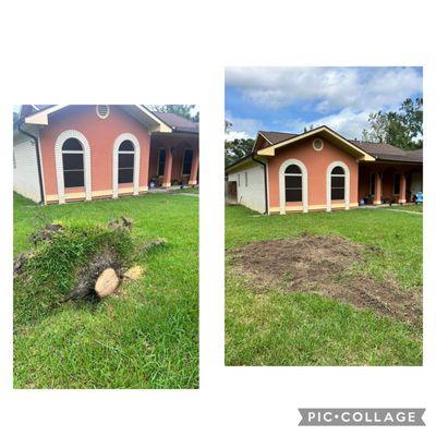 JGB Stump Grinding
