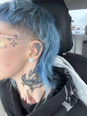 Top of the Line Barbershop