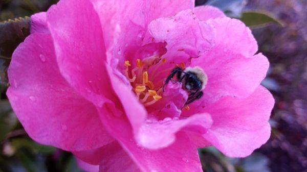 We just absolutely love the great outdoors.