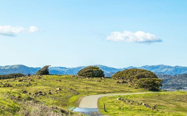 Ring Mountain Preserve