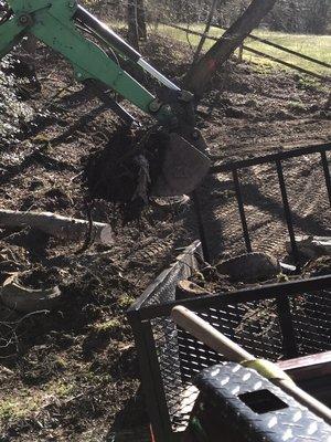 Branching Out Tree Service