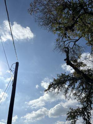 R&M Landscaping Service