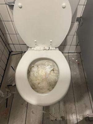 "The toilet's a little clogged"