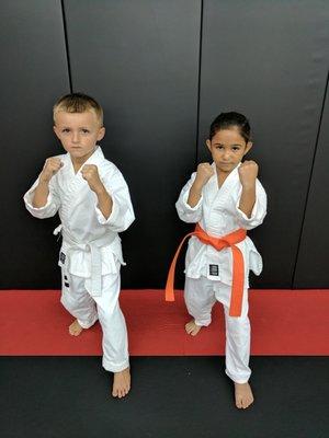 Bushido Karate Academy