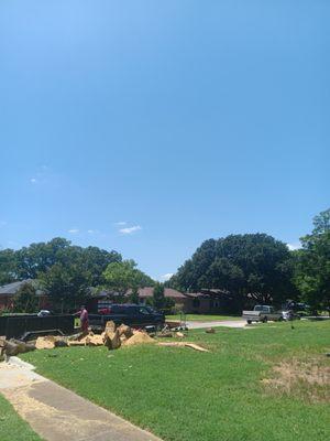 Hayven's Tree Service