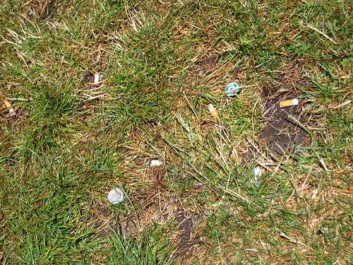 General Landscape Corporation