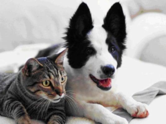 Rocklin Manor Apartments