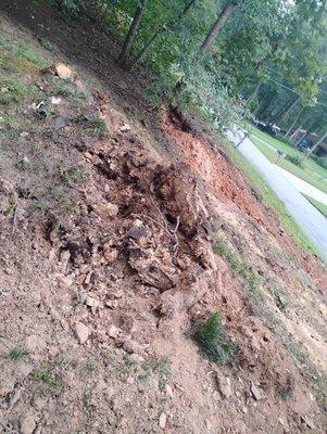 Laramore Landscaping