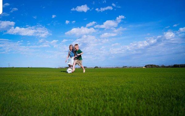 Kid tested and approved