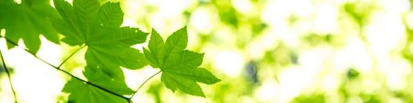 Phil Rea Sales Training