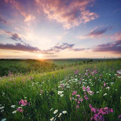 Lifestream Aesthetics