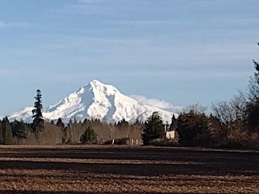 Smooth Systems Construction