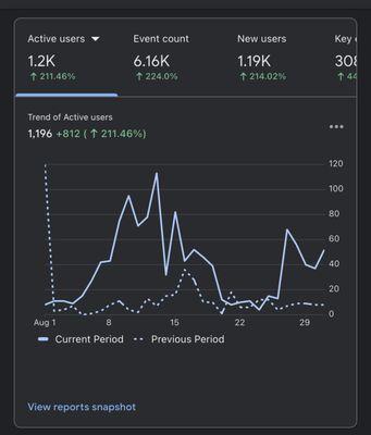 Our page traffic is increasing for our new website