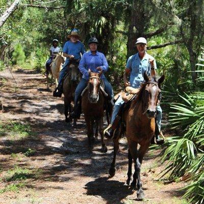 Horseback Trail Rides