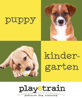 PlayTrain Positive Dog Training