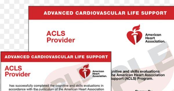 LifeSavers Academy 101