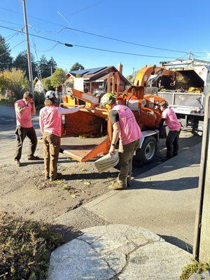 Charleston Tree Service