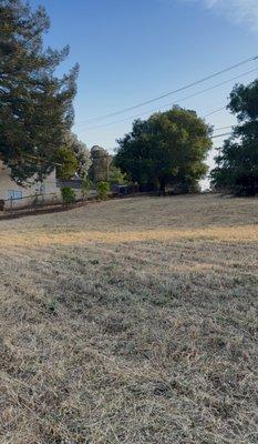 Green Horizon Landscape