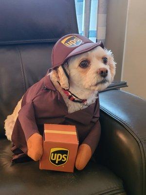 Diamond Q Animal Hospital