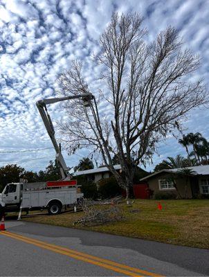 Nate’s Tree Service