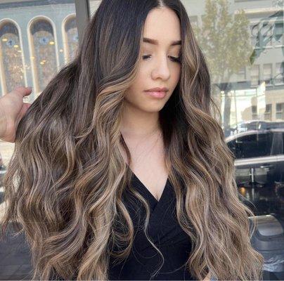 Paloma & Friends Salon