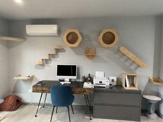 More Climbing & Perches