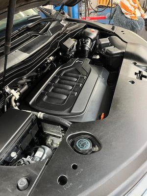 The Honda & Acura Specialist