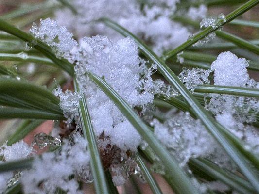 Happy Hollow Gardens