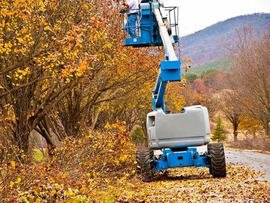 Daniel’s Tree Service