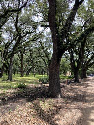 Rice University