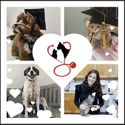 Patients that finished getting all their vaccines, so we take graduate photos.