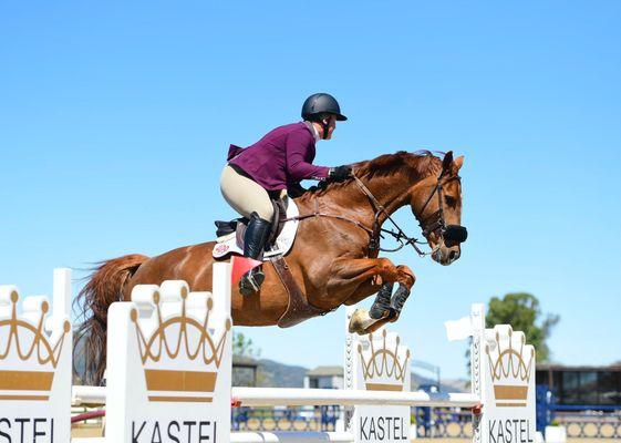 Continental Equestrian