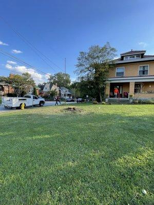 Bills Tree Care Service Plus