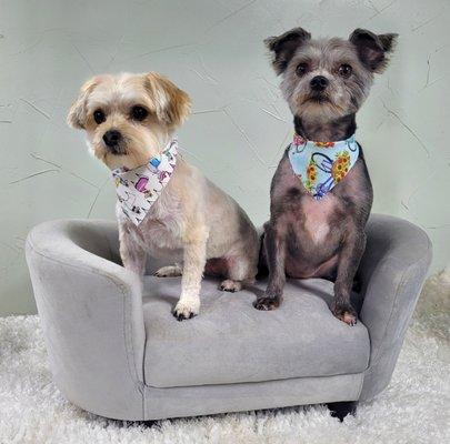 Lake Country Pet Resort