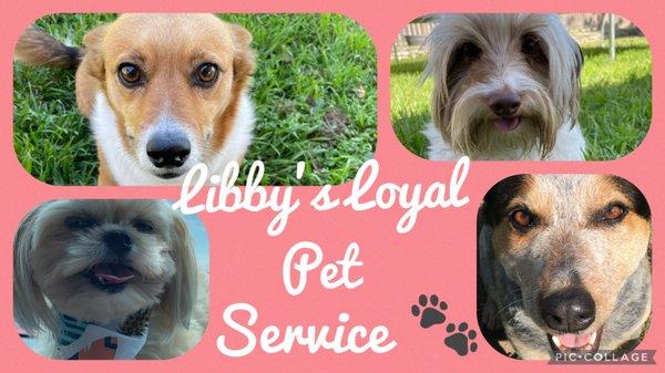 Libby’s Loyal Pet Service