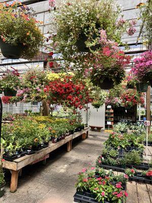 Gray's Garden Center