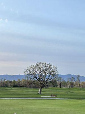 Goose Creek Golf Club