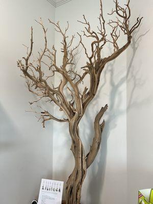 Hill Wellness Center