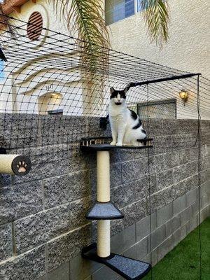 Gilly's Handyman Service