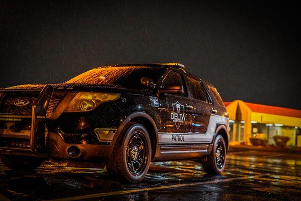 Delta Security Services