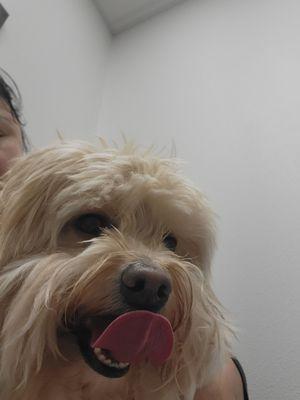 Rey waiting for Dr. Paul
