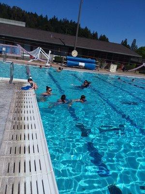 Cougar Swim School