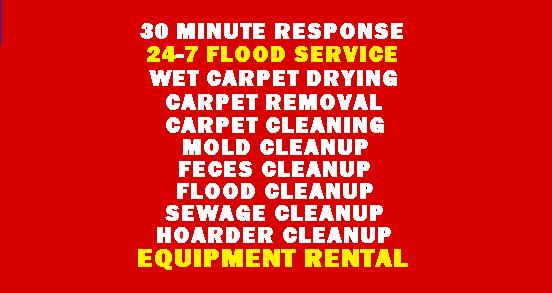 Carpet Busters