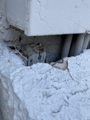 Just regular for here