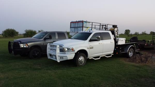 Liquid Lawns Hydromulch